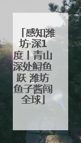 感知潍坊·深1度丨青山深处鲟鱼跃 潍坊鱼子酱闯全球