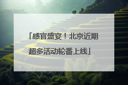 感官盛宴！北京近期超多活动轮番上线
