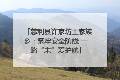 慈利县许家坊土家族乡：筑牢安全防线 一路“未”爱护航
