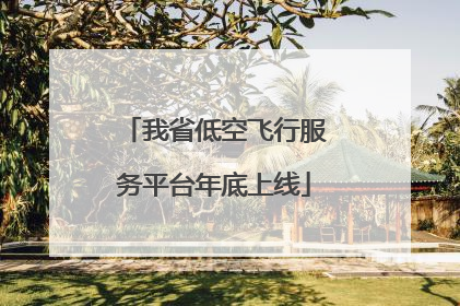 我省低空飞行服务平台年底上线