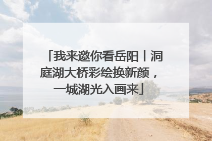 我来邀你看岳阳丨洞庭湖大桥彩绘换新颜，一城湖光入画来