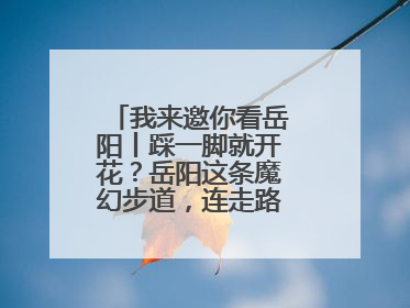 我来邀你看岳阳丨踩一脚就开花？岳阳这条魔幻步道，连走路都变得好玩！