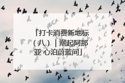 打卡消费新地标（八）｜潮起阿那亚 心泊蔚蓝间