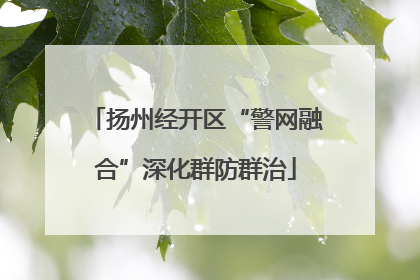扬州经开区“警网融合”深化群防群治