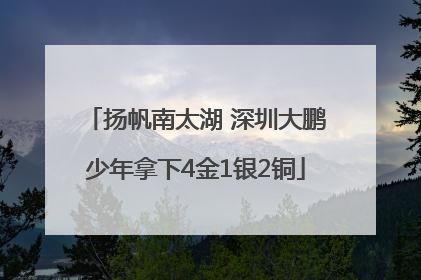 扬帆南太湖 深圳大鹏少年拿下4金1银2铜