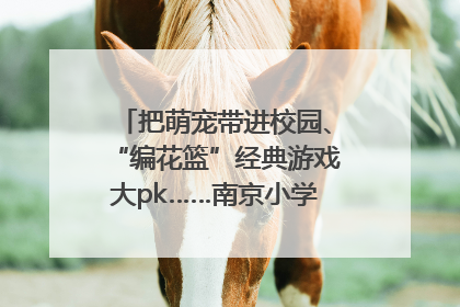 把萌宠带进校园、“编花篮”经典游戏大pk……南京小学花式“庆六一”