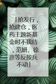 抢发行，抢建仓，医药主题新基金时不我待，范妍、徐彦等反按兵不动