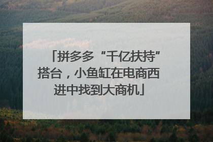 拼多多“千亿扶持”搭台，小鱼缸在电商西进中找到大商机