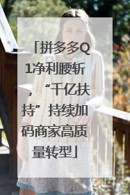 拼多多Q1净利腰斩，“千亿扶持”持续加码商家高质量转型