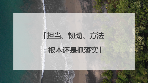 担当、韧劲、方法：根本还是抓落实