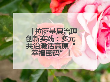 拉萨基层治理创新实践：多元共治激活高原“幸福密码”