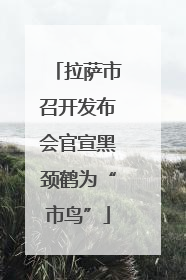 拉萨市召开发布会官宣黑颈鹤为“市鸟”