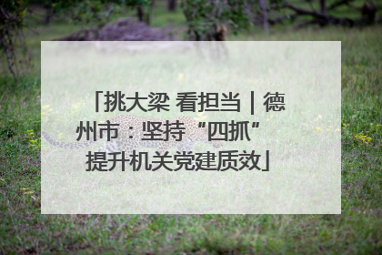 挑大梁 看担当｜德州市：坚持“四抓” 提升机关党建质效