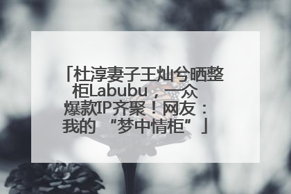 杜淳妻子王灿兮晒整柜Labubu，一众爆款IP齐聚！网友：我的 “梦中情柜”