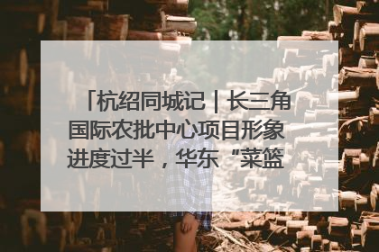 杭绍同城记｜长三角国际农批中心项目形象进度过半，华东“菜篮子”建设加码提速！