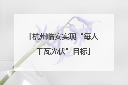 杭州临安实现“每人一千瓦光伏”目标