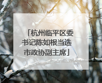 杭州临平区委书记陈如根当选市政协副主席