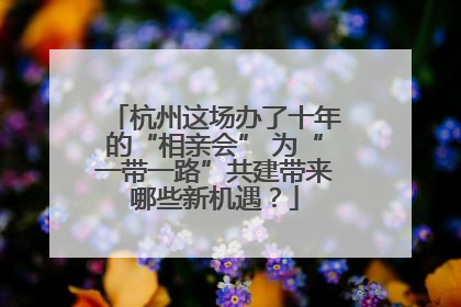 杭州这场办了十年的“相亲会” 为“一带一路”共建带来哪些新机遇？