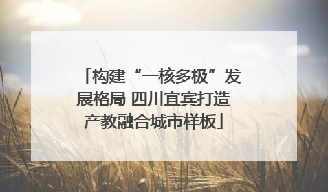 构建“一核多极”发展格局 四川宜宾打造产教融合城市样板