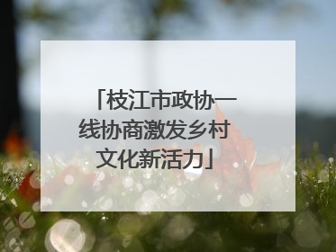 枝江市政协一线协商激发乡村文化新活力
