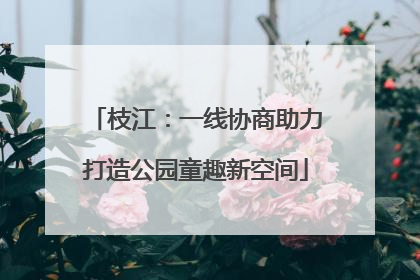 枝江：一线协商助力打造公园童趣新空间