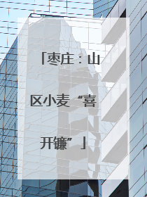 枣庄：山区小麦“喜开镰”