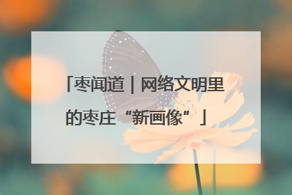 枣闻道｜网络文明里的枣庄“新画像”