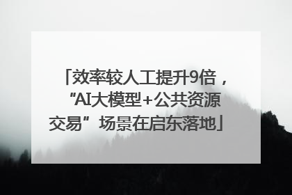 效率较人工提升9倍，“AI大模型+公共资源交易”场景在启东落地