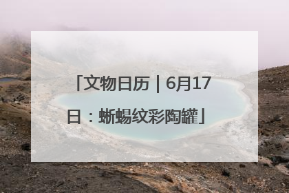 文物日历｜6月17日：蜥蜴纹彩陶罐
