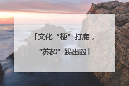文化“梗”打底，“苏超”踢出圈