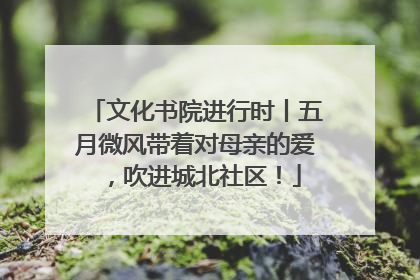 文化书院进行时丨五月微风带着对母亲的爱，吹进城北社区！