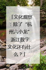文化观察：除了“杭州六小龙” 浙江数字文化还有什么？
