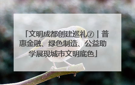 文明成都创建巡礼⑦｜普惠金融、绿色制造、公益助学展现城市文明底色
