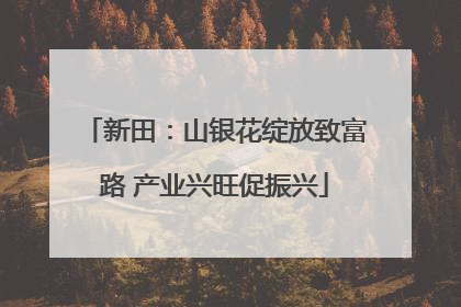 新田：山银花绽放致富路 产业兴旺促振兴