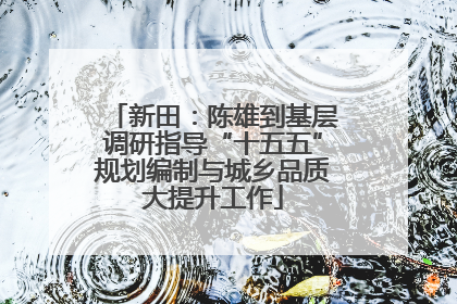 新田：陈雄到基层调研指导“十五五”规划编制与城乡品质大提升工作