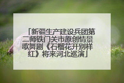 新疆生产建设兵团第二师铁门关市原创情景歌舞剧《石榴花开别样红》将来河北巡演