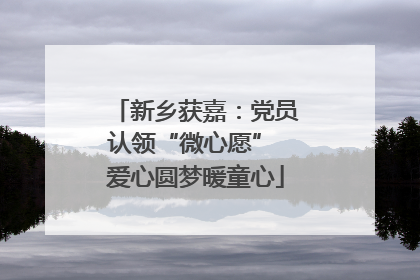 新乡获嘉：党员认领“微心愿” 爱心圆梦暖童心