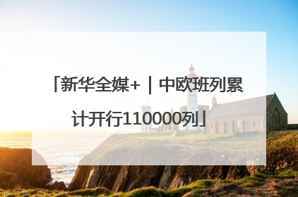 新华全媒+｜中欧班列累计开行110000列