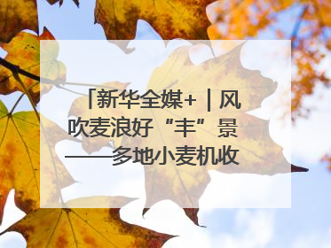 新华全媒+｜风吹麦浪好“丰”景——多地小麦机收一线见闻