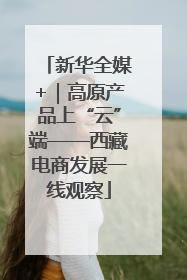 新华全媒+｜高原产品上“云”端——西藏电商发展一线观察