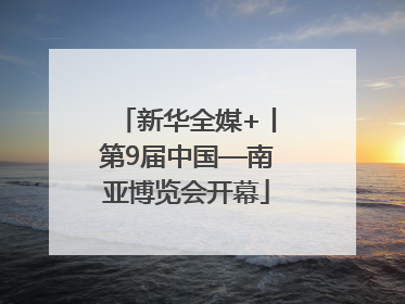 新华全媒+丨第9届中国—南亚博览会开幕