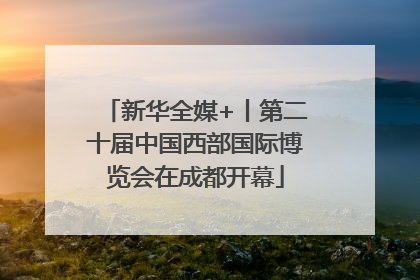 新华全媒+丨第二十届中国西部国际博览会在成都开幕