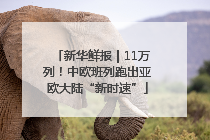 新华鲜报｜11万列！中欧班列跑出亚欧大陆“新时速”