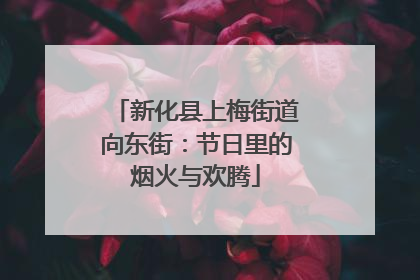 新化县上梅街道向东街：节日里的烟火与欢腾