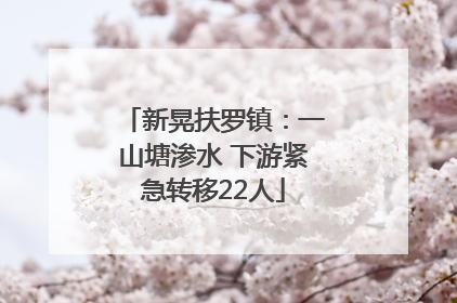 新晃扶罗镇：一山塘渗水 下游紧急转移22人