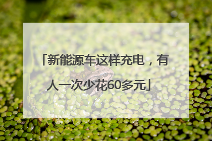 新能源车这样充电，有人一次少花60多元
