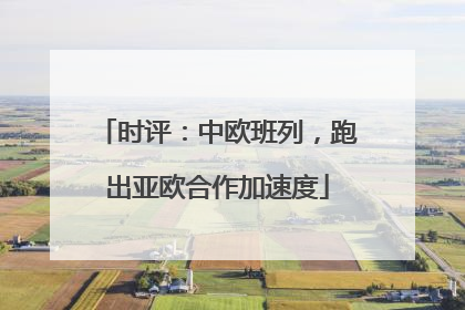 时评：中欧班列，跑出亚欧合作加速度