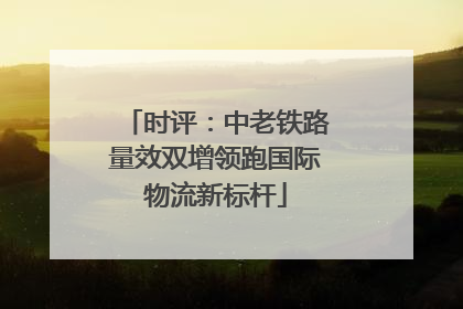 时评：中老铁路量效双增领跑国际物流新标杆