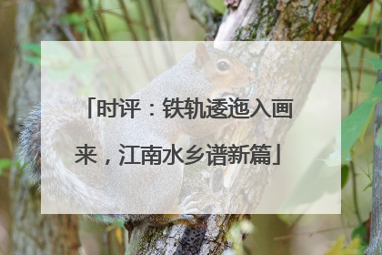 时评：铁轨逶迤入画来，江南水乡谱新篇