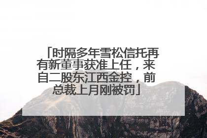 时隔多年雪松信托再有新董事获准上任，来自二股东江西金控，前总裁上月刚被罚